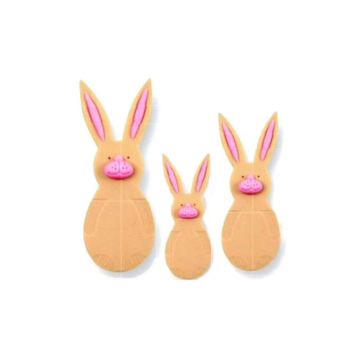 Set de 3 découpoirs  "Petit Lapin"